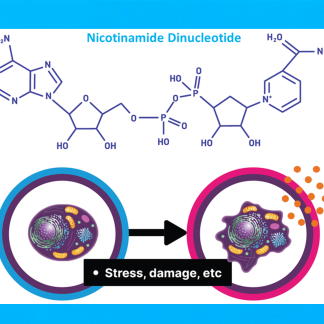 AgingSOS® - NAD, Senescence & Inflammation